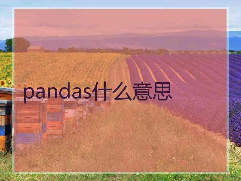 pandas什么意思