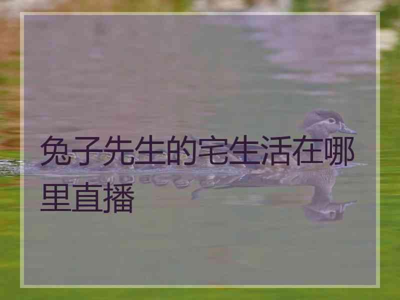 兔子先生的宅生活在哪里直播