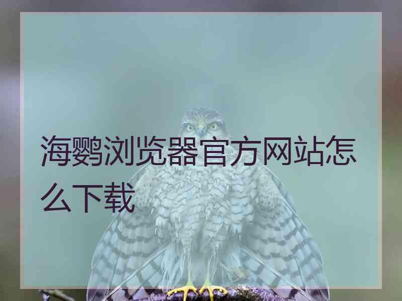 海鹦浏览器官方网站怎么下载