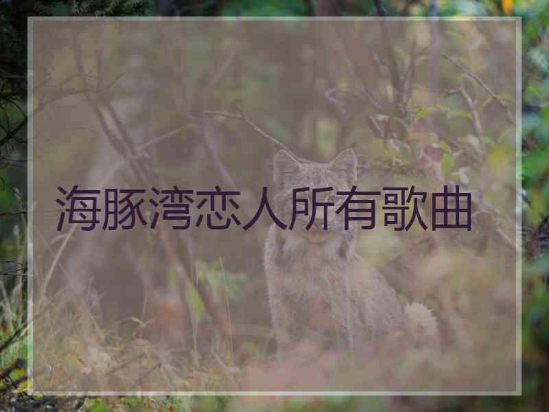 海豚湾恋人所有歌曲