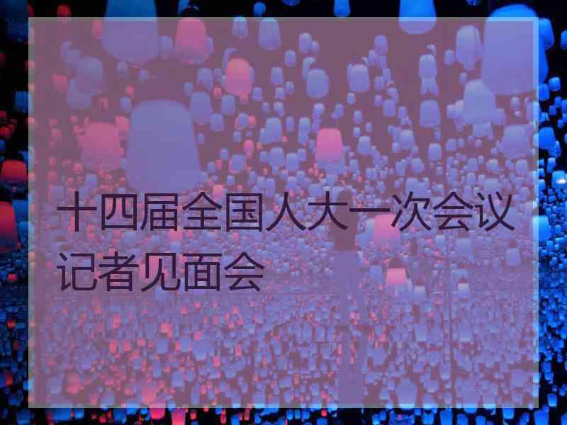 十四届全国人大一次会议记者见面会