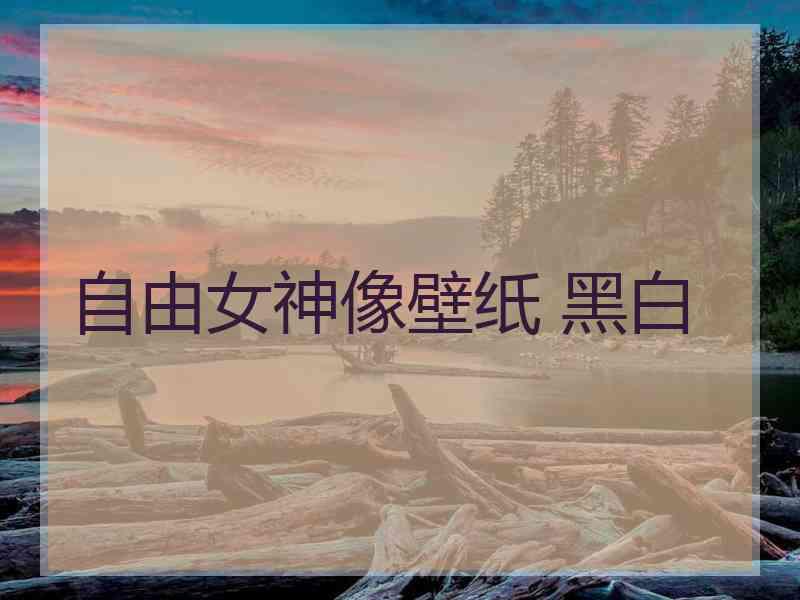 自由女神像壁纸 黑白
