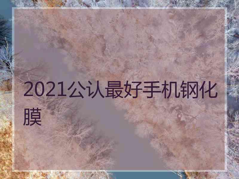 2021公认最好手机钢化膜