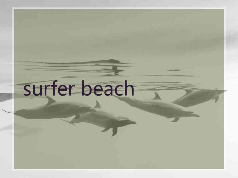 surfer beach