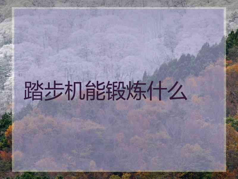 踏步机能锻炼什么