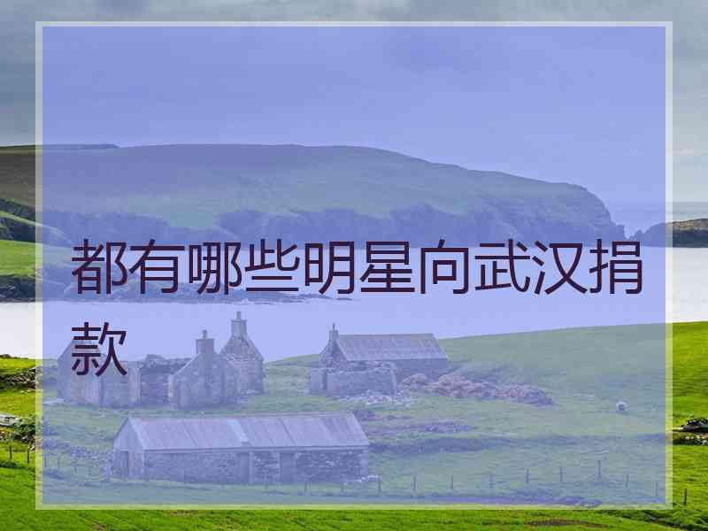 都有哪些明星向武汉捐款