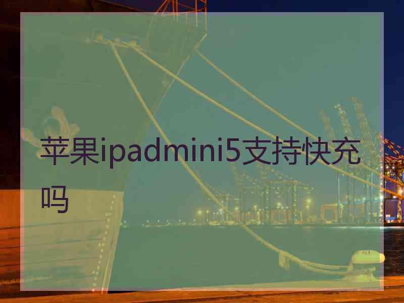 苹果ipadmini5支持快充吗