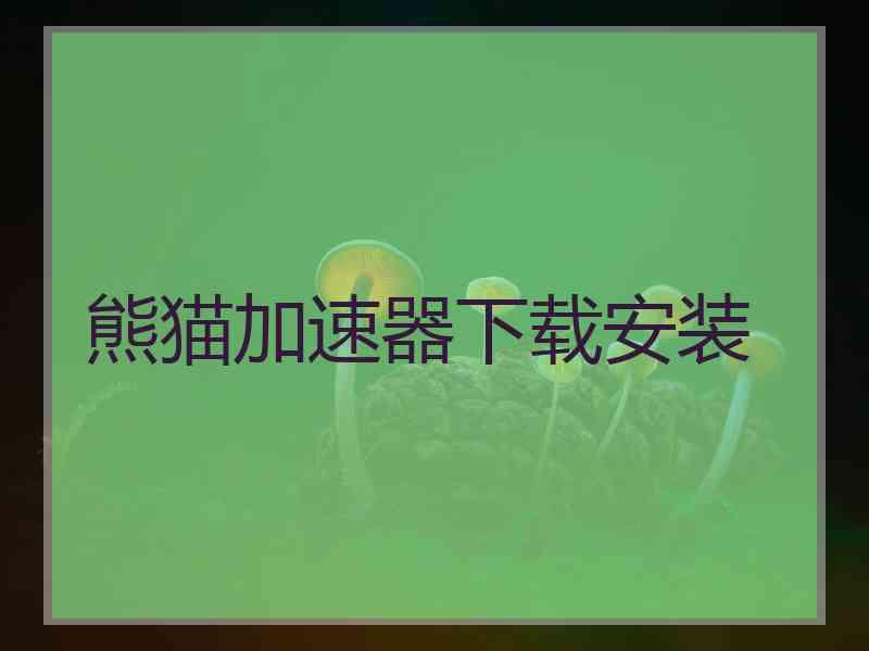 熊猫加速器下载安装
