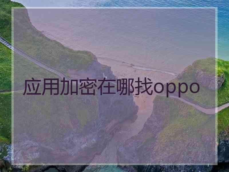 应用加密在哪找oppo