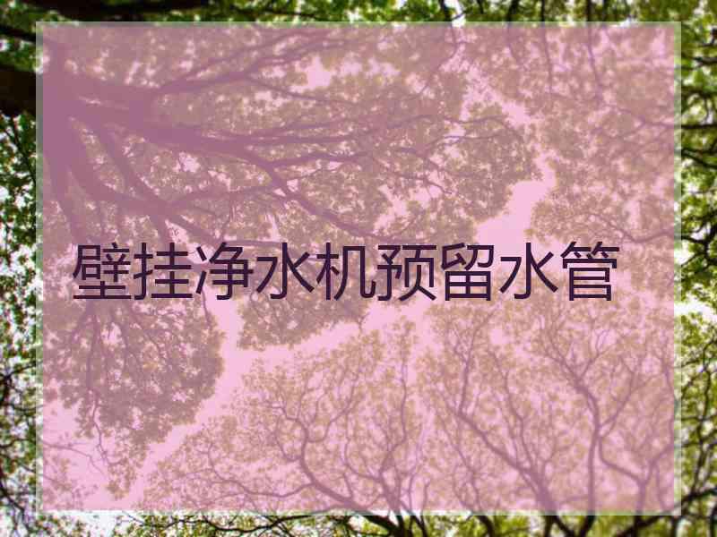 壁挂净水机预留水管