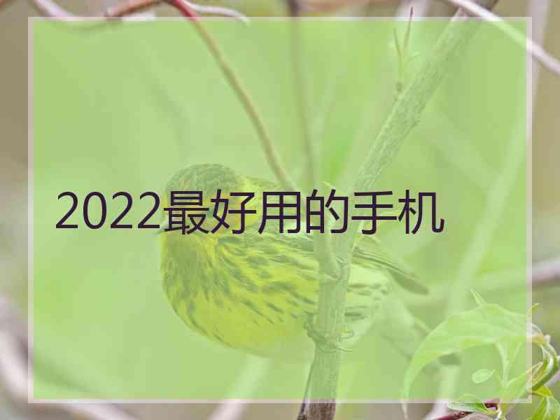 2022最好用的手机