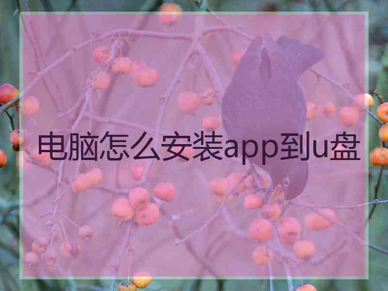 电脑怎么安装app到u盘