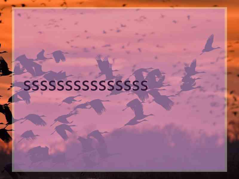 sssssssssssssss