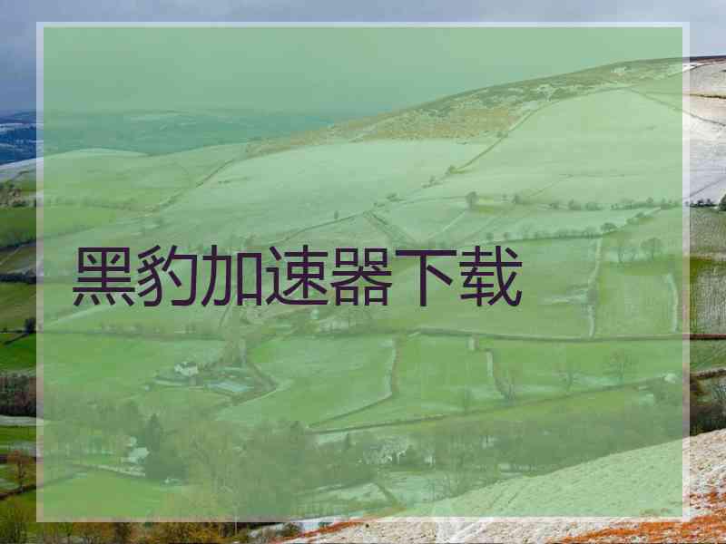 黑豹加速器下载