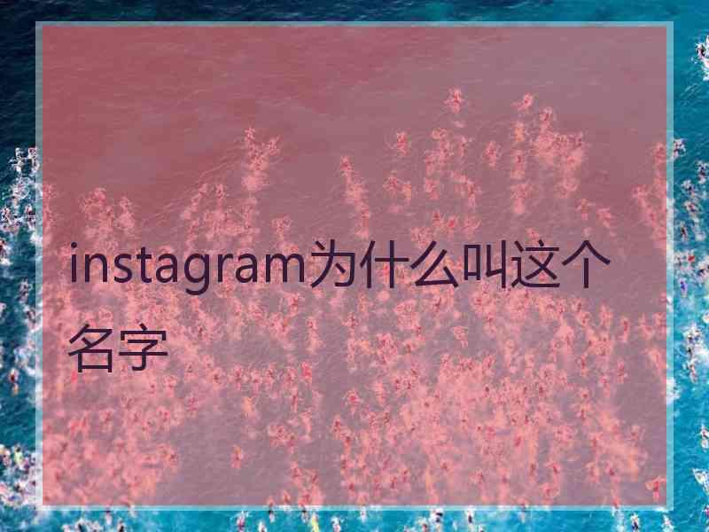 instagram为什么叫这个名字