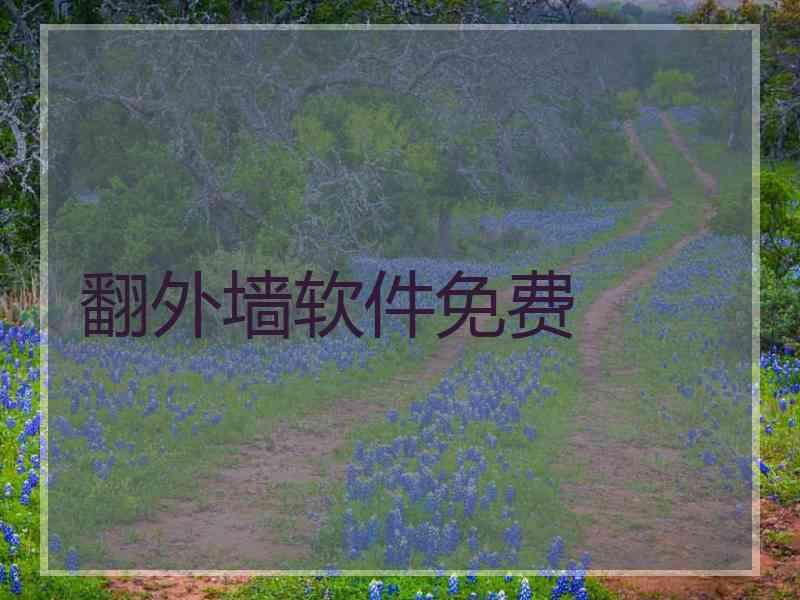 翻外墙软件免费