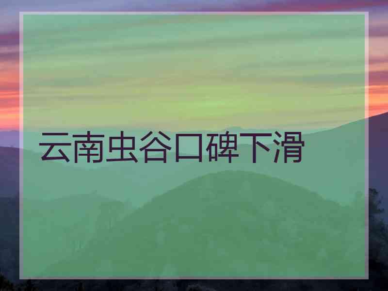 云南虫谷口碑下滑