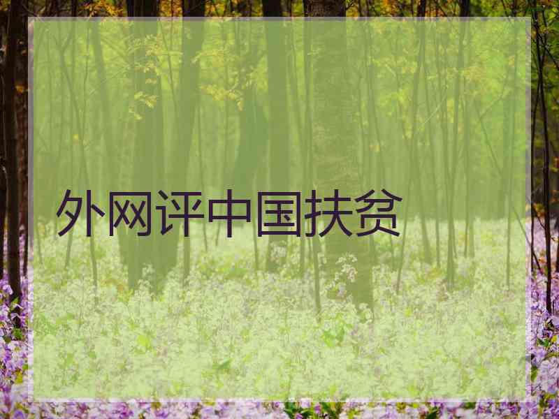 外网评中国扶贫