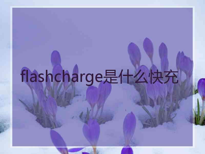 flashcharge是什么快充