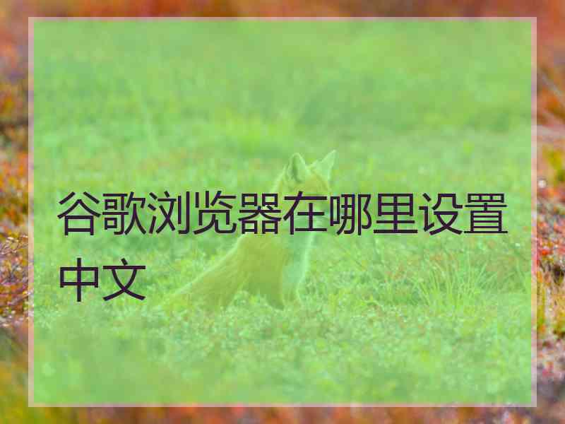 谷歌浏览器在哪里设置中文