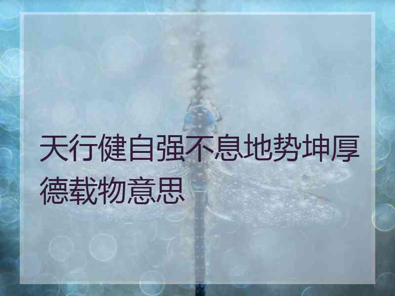 天行健自强不息地势坤厚德载物意思