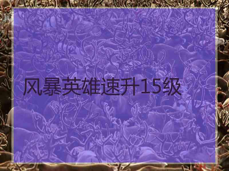 风暴英雄速升15级