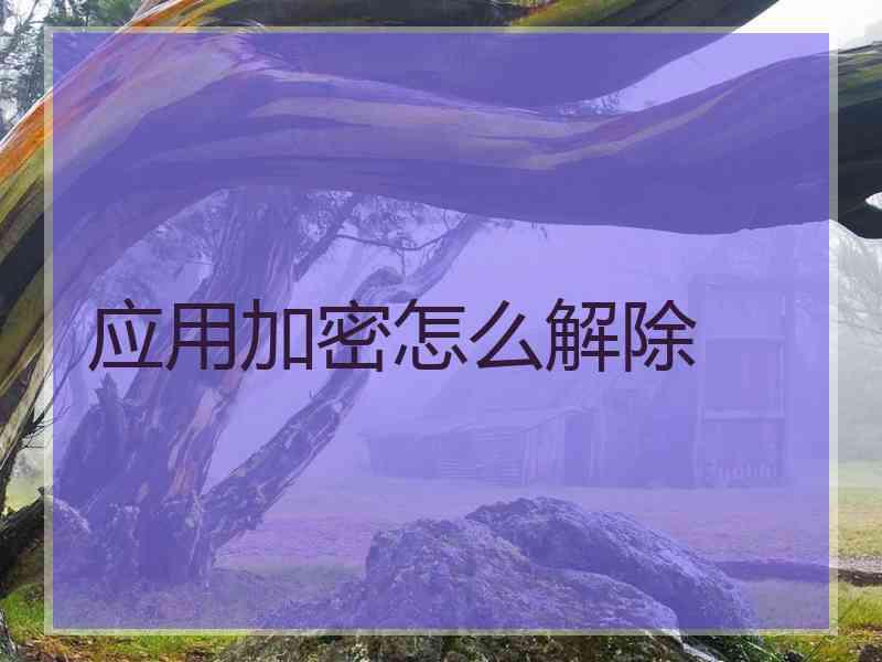 应用加密怎么解除