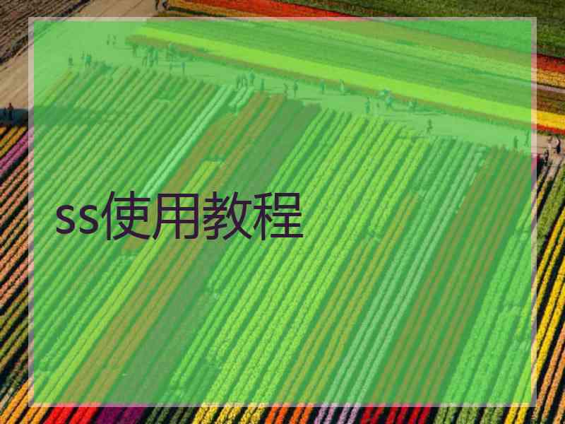 ss使用教程