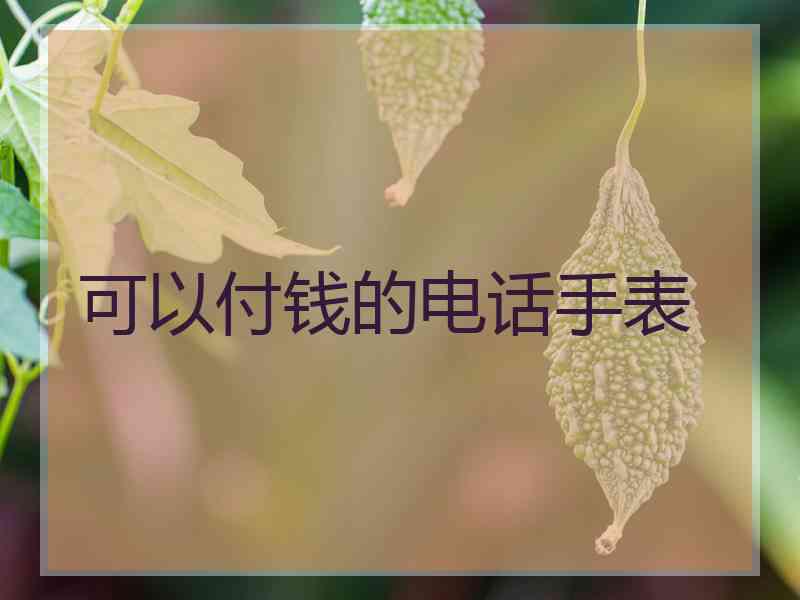 可以付钱的电话手表