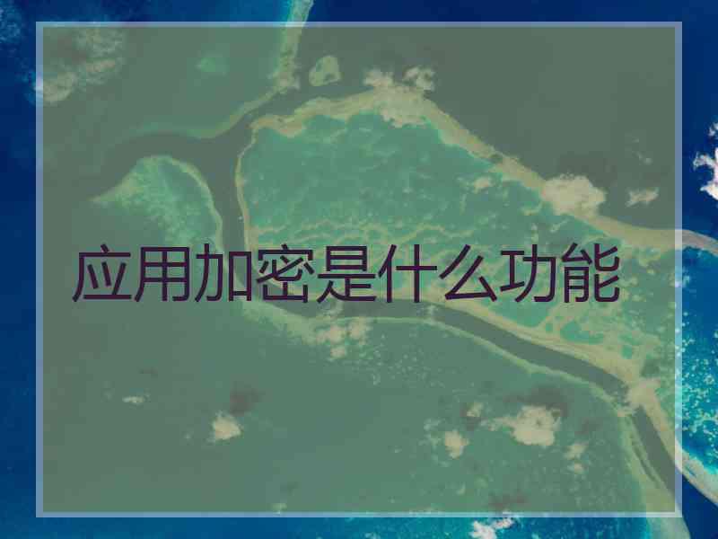 应用加密是什么功能