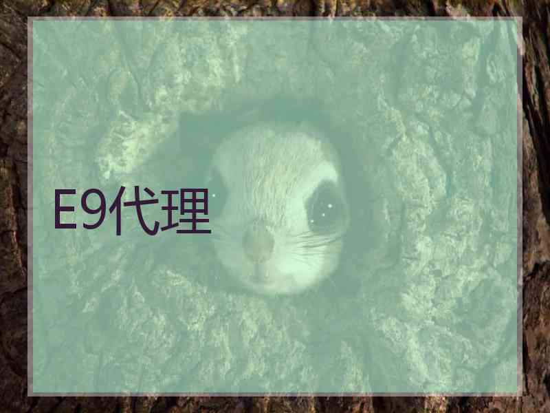 E9代理