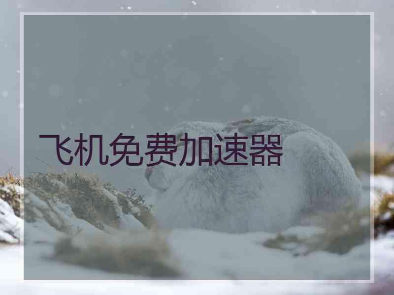 飞机免费加速器