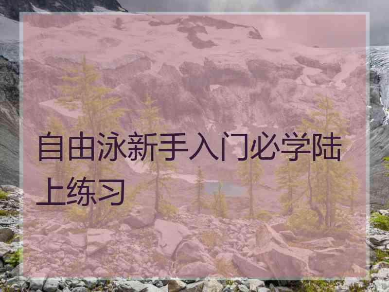 自由泳新手入门必学陆上练习