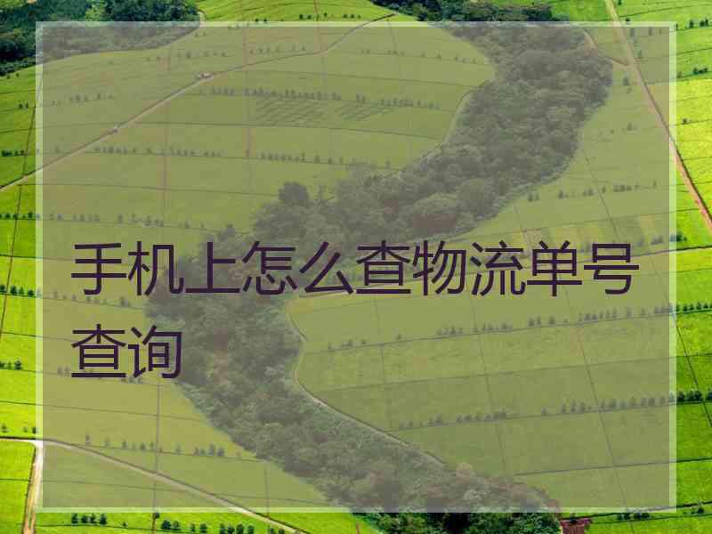 手机上怎么查物流单号查询