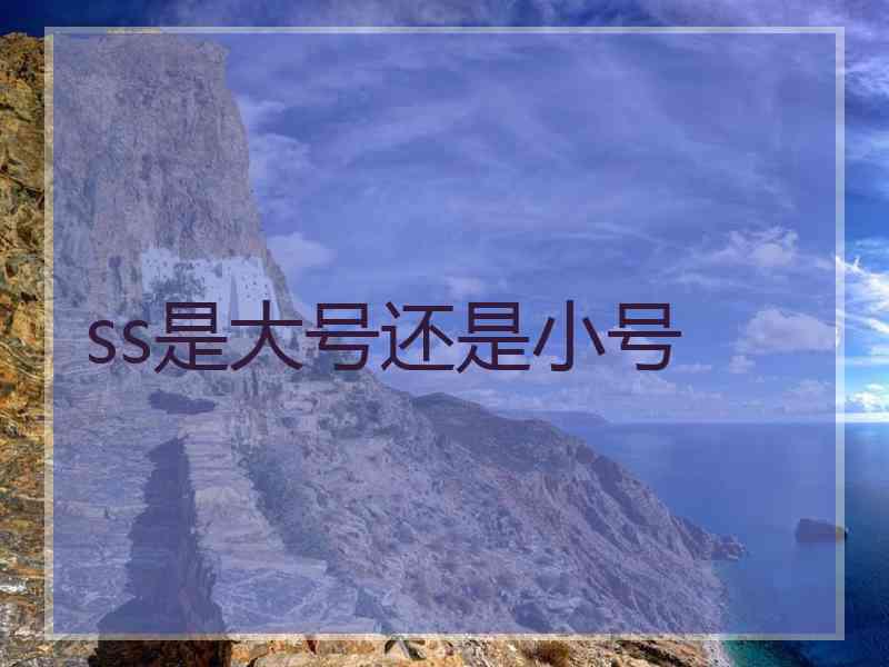 ss是大号还是小号