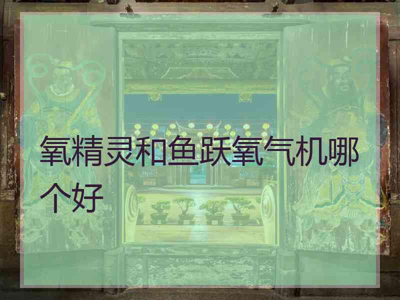 氧精灵和鱼跃氧气机哪个好