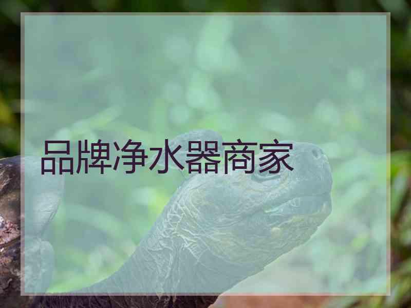 品牌净水器商家