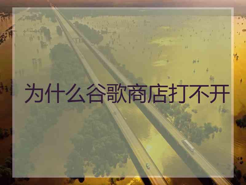 为什么谷歌商店打不开