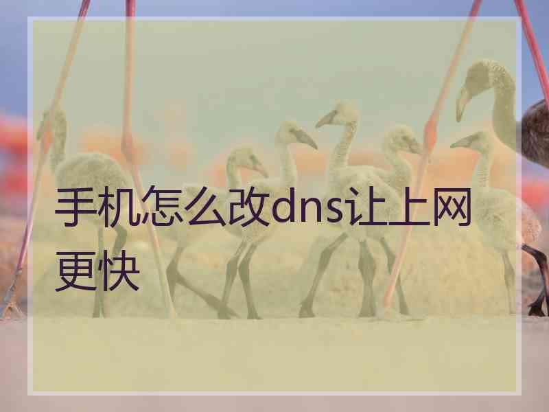 手机怎么改dns让上网更快