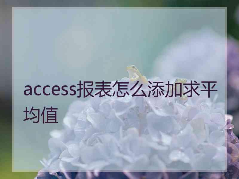 access报表怎么添加求平均值