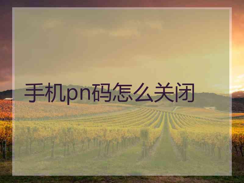 手机pn码怎么关闭