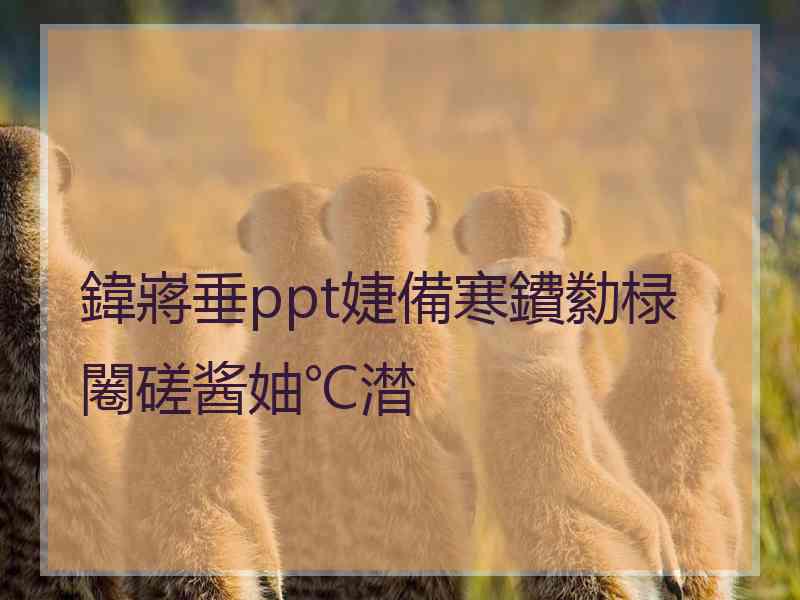 鍏嶈垂ppt婕備寒鐨勬椂闂磋酱妯℃澘