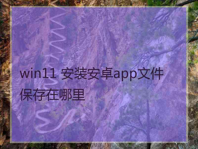 win11 安装安卓app文件保存在哪里