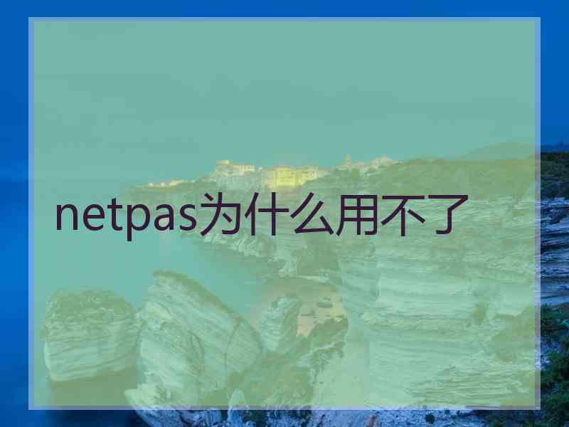 netpas为什么用不了