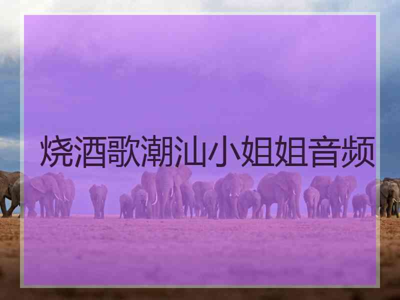 烧酒歌潮汕小姐姐音频