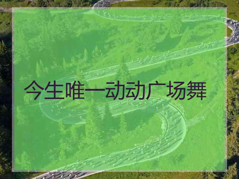 今生唯一动动广场舞