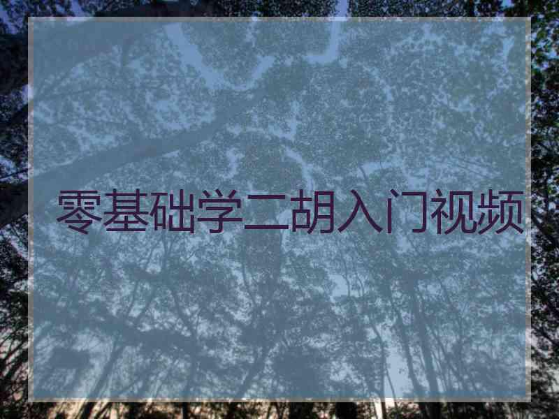零基础学二胡入门视频