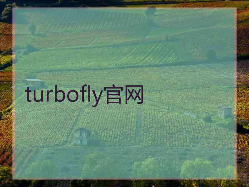 turbofly官网