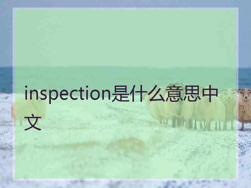inspection是什么意思中文