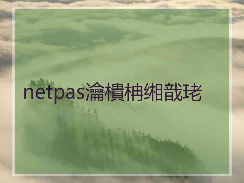 netpas瀹樻柟缃戠珯